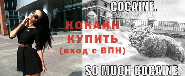 apvp Горнозаводск
