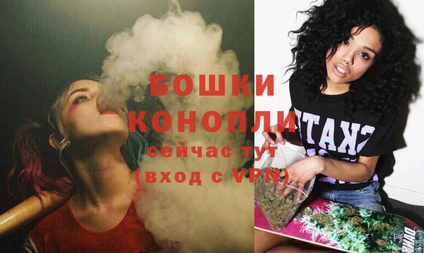 СК Гусев