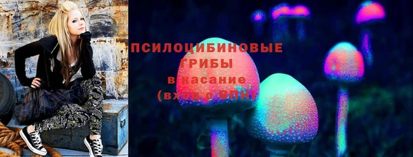 альфа пвп Гусь-Хрустальный